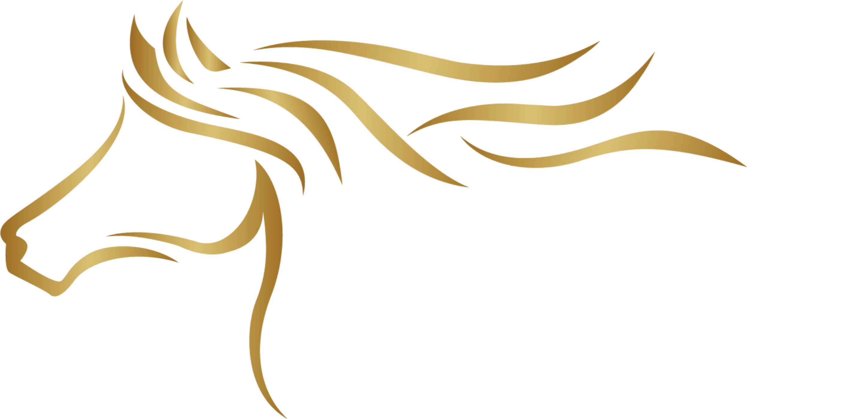 Hidden Gem Healing